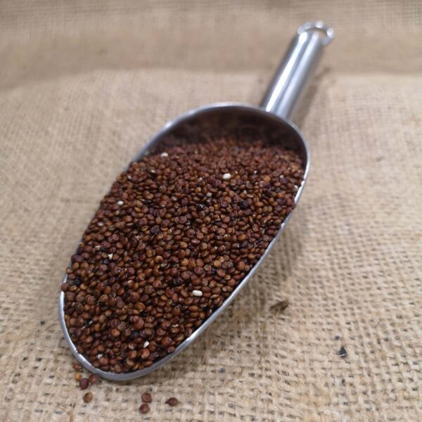 Quinoa Roja - DeTarros Productos a granel