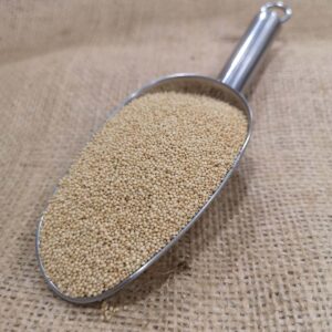 Semilla de amaranto - DeTarros Productos a granel
