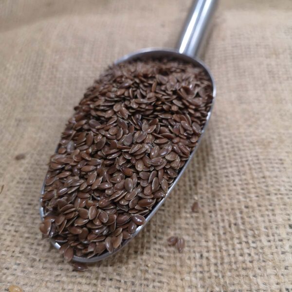 Semilla de lino marrón - DeTarros Productos a granel