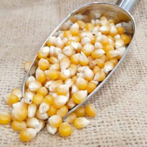 Maiz para palomitas - DeTarros Productos a granel