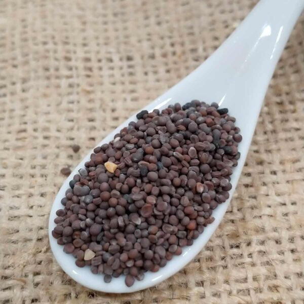 Mostaza marrón grano- DeTarros Productos a granel